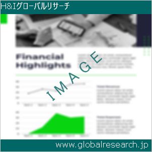 グローバルリサーチ調査レポートのイメージ